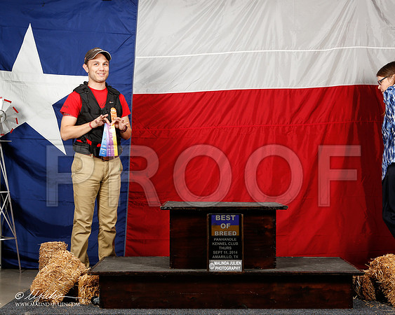 _ST_1513-2-AmarilloSep2014-HR3