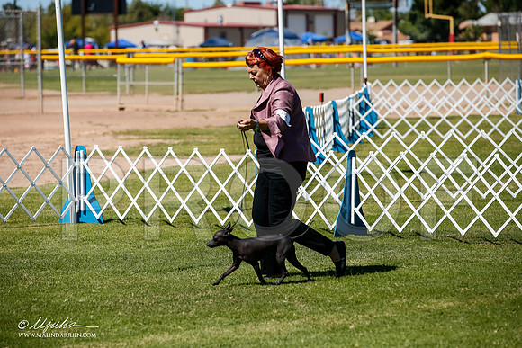 _JJ_8177-AlamogordoOct2014-HR3