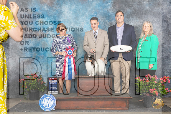 Papillion #23 Sat BIS Judge Elizabeth ‘Beth’ Sweigart__JP_5598_San Antonio_2024_HR3