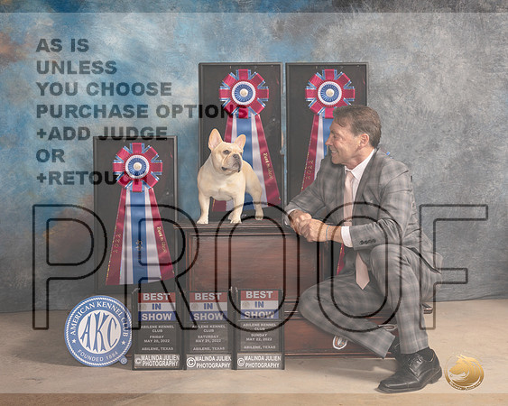 French Bulldog #7 Sun BIS Judge Pat Trotter-MMJ_5216e-Abilene2022-HR3