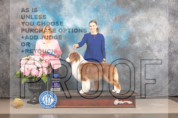 Australian Shepherd #55 FRI WD BOW Judge Polly Smith_MJ_4871_Houston_2022_HR3