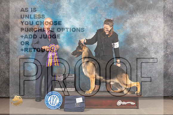 German Shepherd Dog #25 WED BISS Judge Stephen Bloom_MJ_2465_Houston_2022_HR3