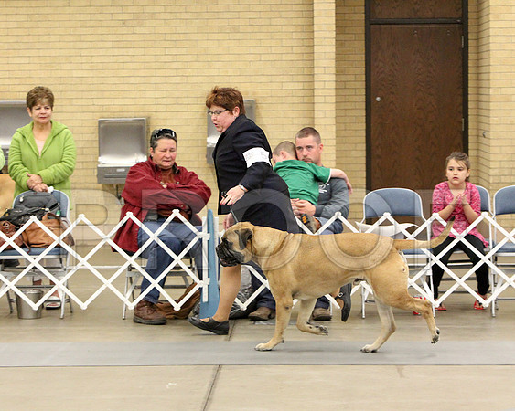 6-8VetSweeps-7253