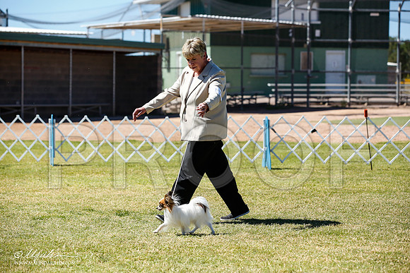 _JN_5065-AlamogordoOct2014-HR3