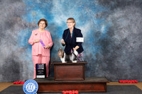 Biewer Terrier #7 Sun WD NCH Judge Nikki Riggsbee