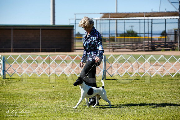 _JN_4451-AlamogordoOct2014-HR3