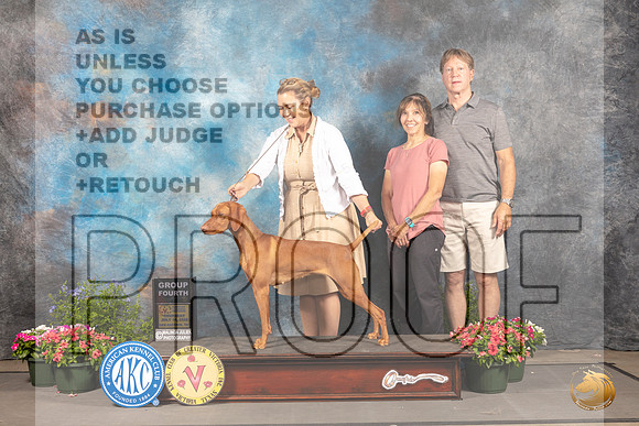 Vizsla #26 Thur G4 Judge Anne Bolus_MJ_0143_SA_2022_HR3