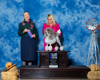 Poodles Miniature #10 Fri NC WB Orr Kathryn Kailey Brenda Wood Laurel Berg Judge Mrs Carolyn A Herbel