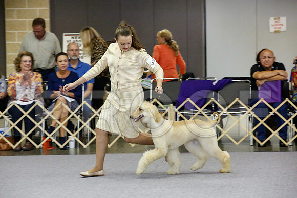 _JJ_0088-AfgBeltonOct2014-HR3