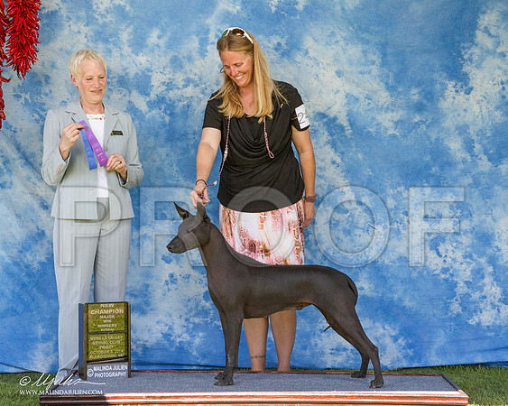 _ST_2761-AlamogordoOct2014-HR3