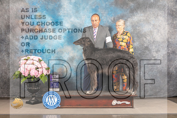 Borzoi #21 FRI WD Major Judge Timothy Catterson_MJ_5209_Houston_2022_HR3