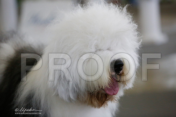 _JJ_3001-DallasJul2014-HR3