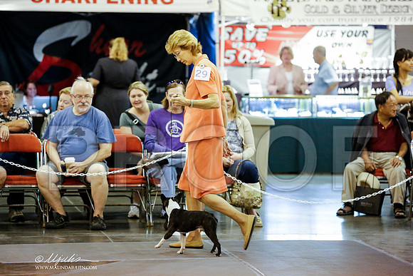 _RH_2417-HstnJul2014-HR3