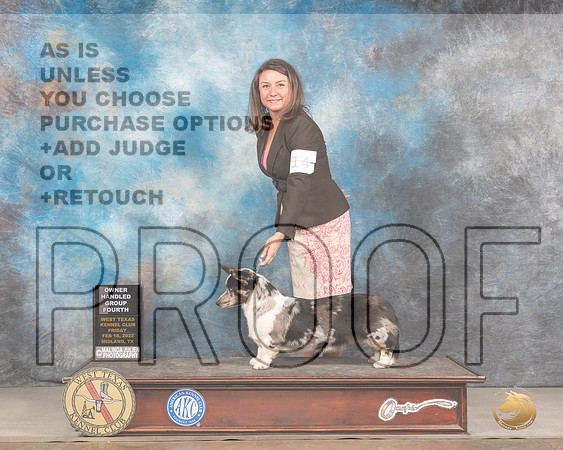 Cardigan Welsch Corgi #14 Fri OHG4 Judge Barbara AldermanMMJ_3450_Mdlnd2022_HR3