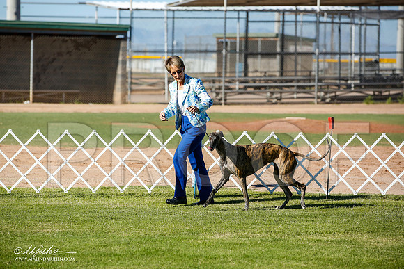 _JN_5677-AlamogordoOct2014-HR3