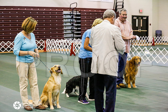 _RH_5270-BsrCtyJun2014-HR3