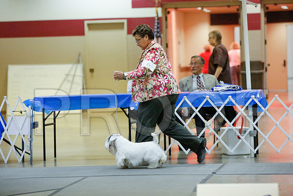 _JN_4859-AmarilloSept2014-HR3