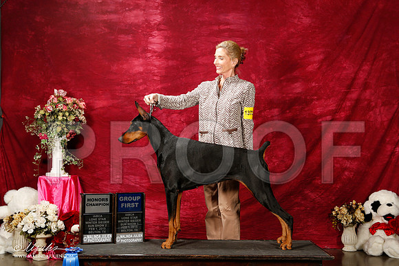 _ST_3008-2-BeltonJan2015IABCA-HR3