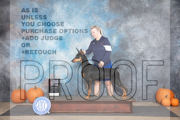 Doberman Pinscher #14 WBBOS Judge Hal Biermann__JP_9231_Humble_2024_HR3