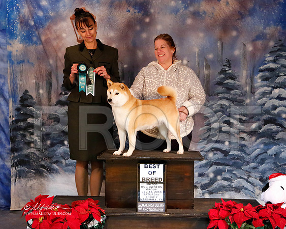 shiba-6250-MrshlDec13-HR