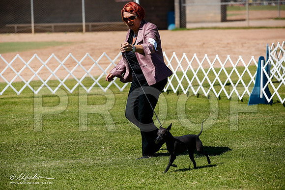 _JJ_7975-AlamogordoOct2014-HR3