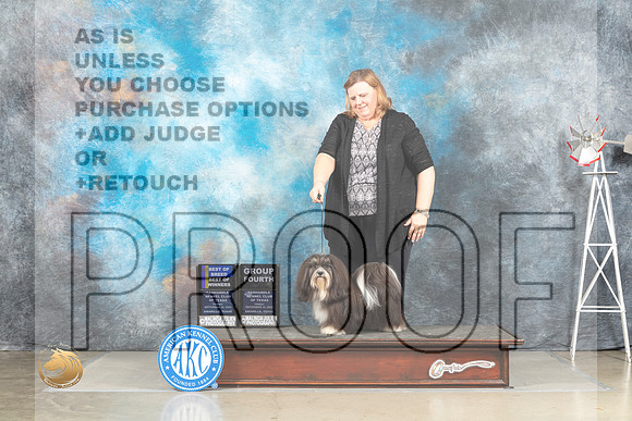 Havanese #12 Fri BOBG2 Judge Fred Bassett_MJ_4247_Amarillo_2022_HR3