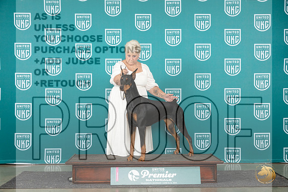 Doberman Pinscher #1266 RCH Judge Lori Sargent__JP_2175_Premier_2024_HR3