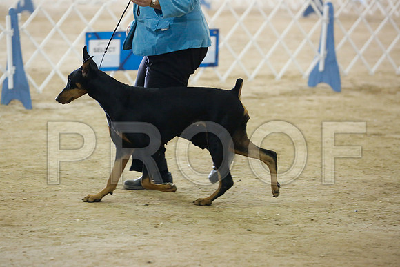dobe-7492-HstnNov13-HR