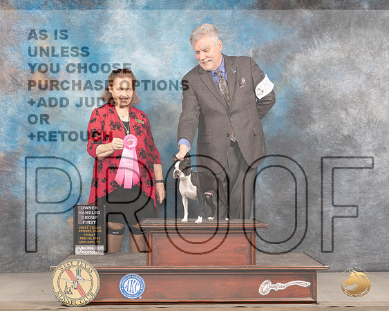 Boston Terrier #18 Fri OHG1 Judge Donnelle RichardsMMJ_3749_Mdlnd2022_HR3