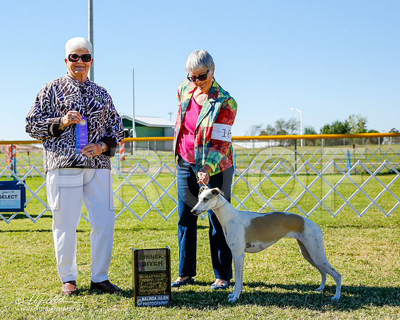 _CL_0269-2-AlamogordoOct2014-HR3