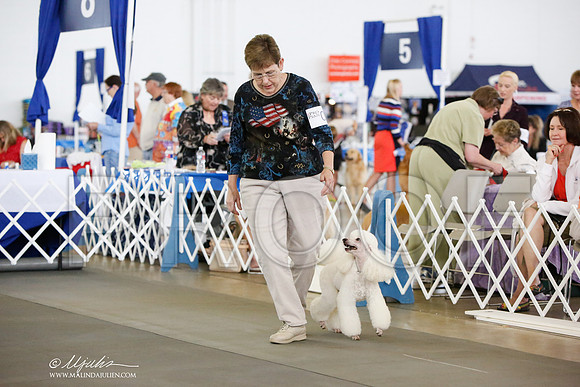 _JN_8041-DallasJul2014-HR3