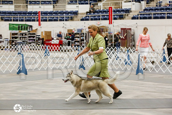 _HR_2344-AblnMay2014-web