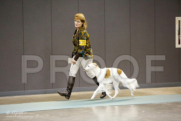 _RH_0686-BeltonJan2015-HR3