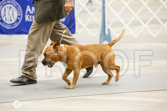 _CK_8529-AblnMay2014-web