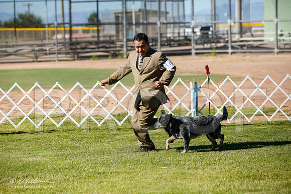 _JN_4222-AlamogordoOct2014-HR3