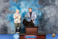 Scottish Terrier #5 WED BISw Judge Judith Brown