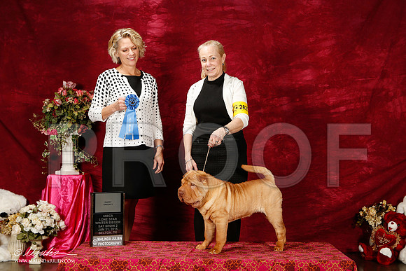 _ST_2656-2-BeltonJan2015IABCA-HR3