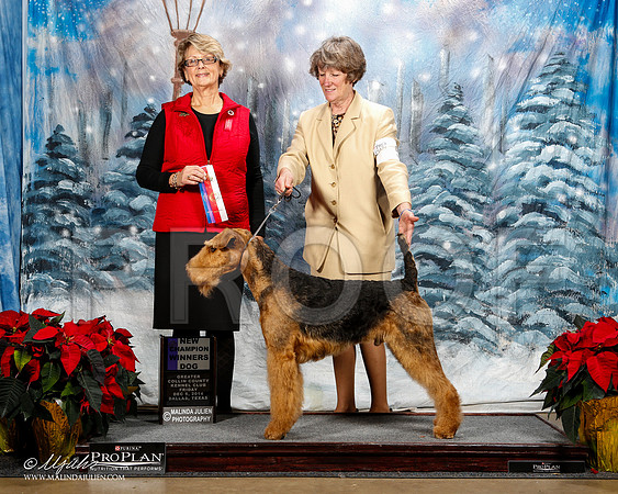 _ST_8170-2-DallasDec2014-HR3