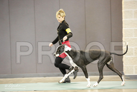 _JN_2097-BeltonJan2015-HR3