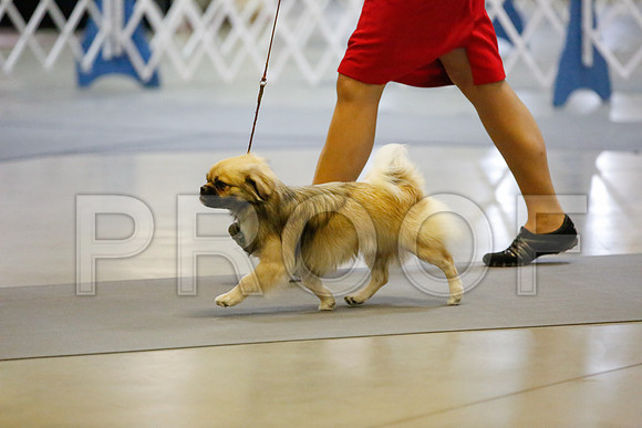 _JJ_8266-AmarilloSept2014-HR3