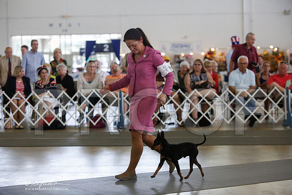 _JJ_2343-DallasJul2014-HR3