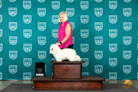 Coton de Tulear #? NtlAltBOBBOWBM Judge Stan Matsumoto