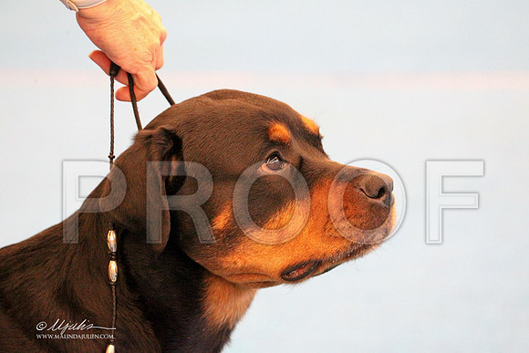 Rott-9608LR