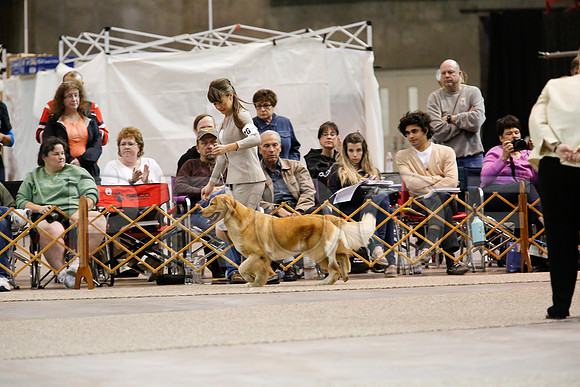 BoBGHI-6055-WFOct2013-HR