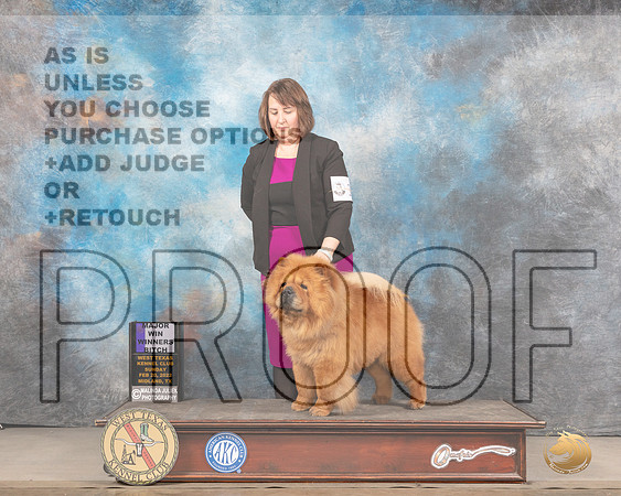 Chow Chow #18 Sun WB Judge Peggy LloydMMJ_5520_Mdlnd2022_HR3