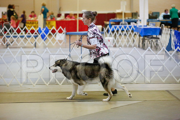 _JJ_7494-AmarilloSept2014-HR3