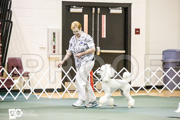 _JJ_3207-BsrCtyJun2014-HR3