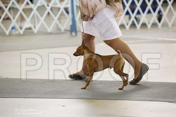 _CK_0100-DallasJul2014-HR3