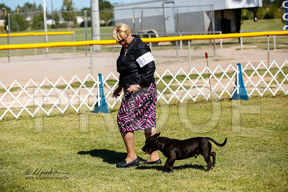 _JJ_3223-AlamogordoOct2014-HR3