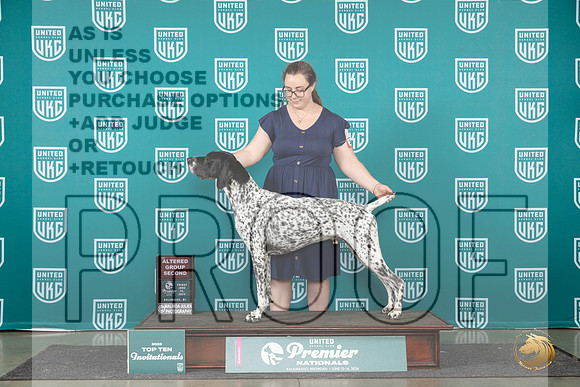 German Shorthaired Pointer # Fri AG2 Judge __JP_2080_Premier_2024_HR3